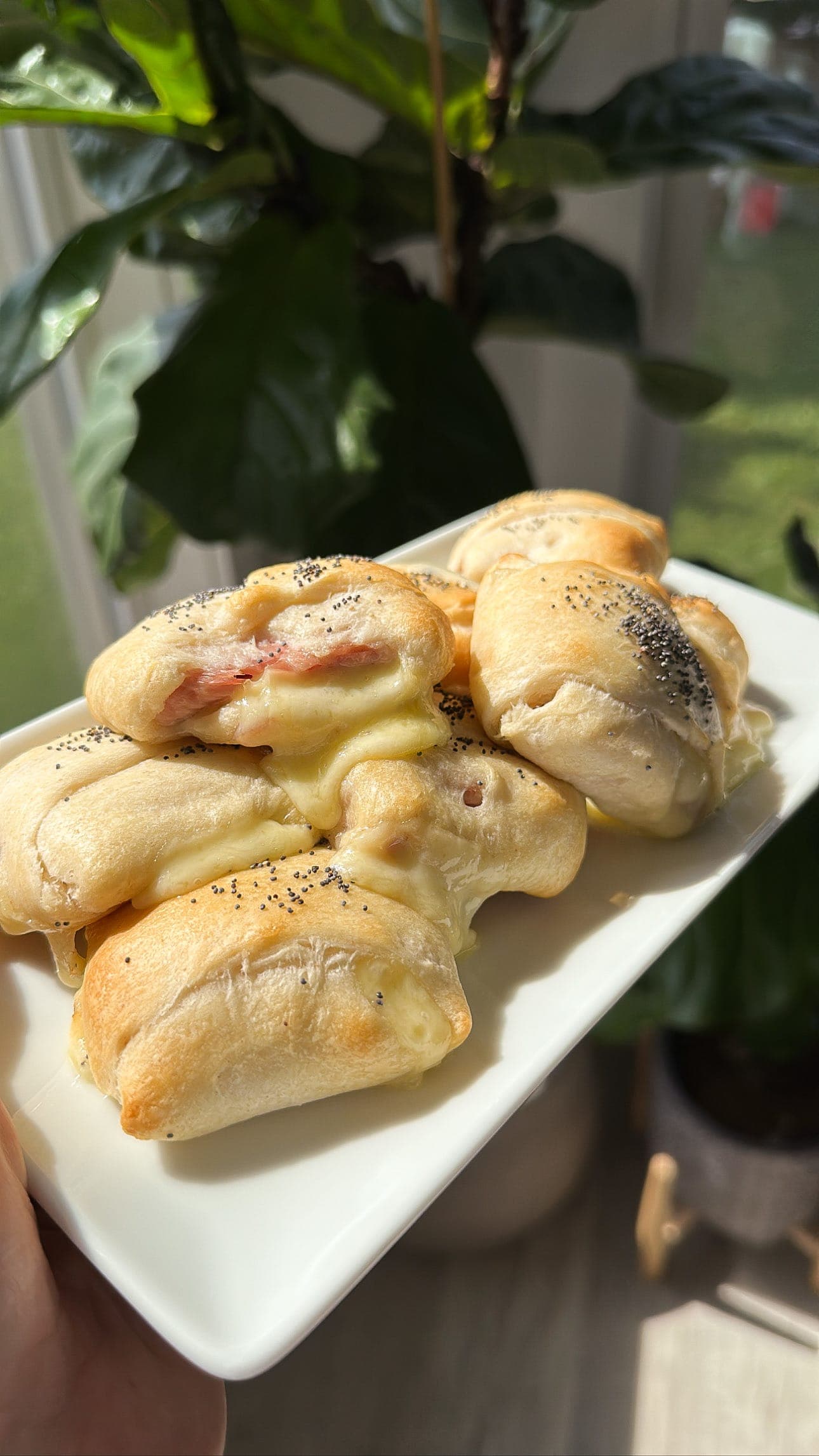 Ham & Cheese Pockets